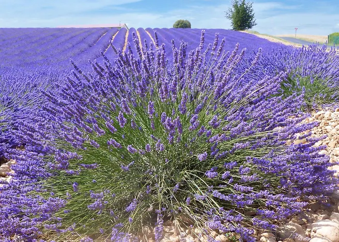 Mit Kamin By Interhome *